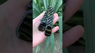 Четки Мозаика из цветного эбонита с пинами 