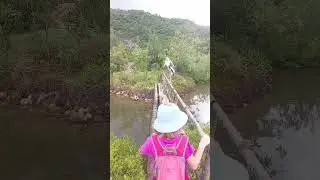 Redneck stork 5 