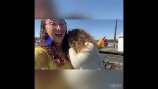 Dinosaur Drive Thru