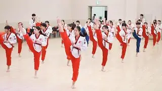 2024타툴모델통합훈련대전