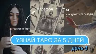УЗНАЙ ТАРО ЗА 5 ДНЕЙ | День 3 | Роза Рей | Трактовка карт