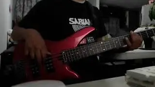 Yo No Sé Mañana - Luis Enrique (BASS COVER)