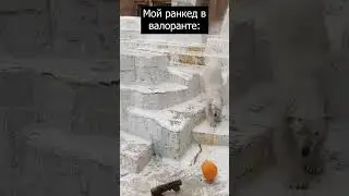 Апнулся с расцвета до платины 