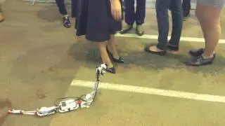 Робот-змея заглядывает под юбки