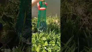 рыбалочка удалась