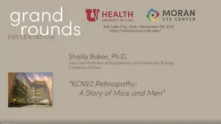 KCNV2 Retinopathy: A Story of Mice and Men [ARCHIVE]