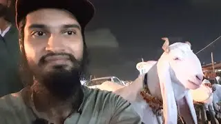 🔴 Live At Sohrab Goth Bakra Mandi 2021 Bakra Eid 2021 Cattle Market Karachi Eid ul Adha 2021