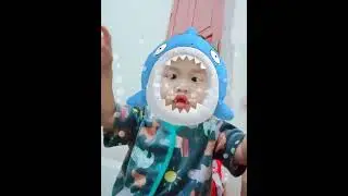BABY SHARK