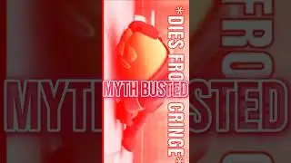 Genshin impact mythBusters 