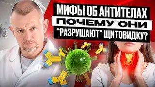 Антитела разрушают Щитовидку! Правда? #щитовиднаяжелеза #аутоиммунныйтиреоидит #антителакТПО