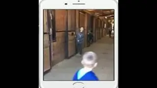Ржака Дрищ тянет лошадь