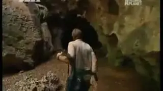 Steve Irwin - Crocodile Hunter « Die schwarze Mamba (2/4)