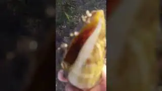 Saang naa sa hunasan😁
