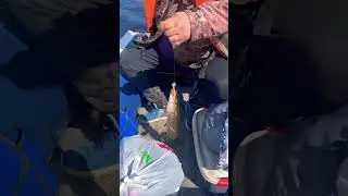 С дочкой на рыбалке🎣 #love #рыбалка