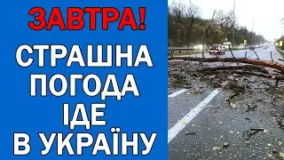 ПОГОДА НА 3 ЛИСТОПАДА : ПОГОДА НА ЗАВТРА