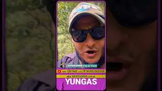 Yungas - Salta, Argentina - SuperSordo vlog de viajes - 