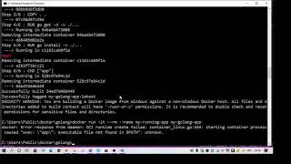 executable file not found in $PATH