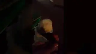 Xosacox Tutak 18+ Qfurchi
