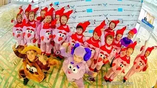 сст ИнДиГО 