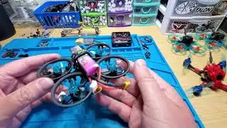 chanses quads