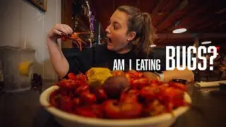 First Time Eating Crawfish & Swamp Tour Airboat Adventure!