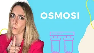 Osmosi💧