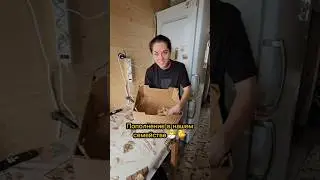 Новые жители🐣🫶🐤
