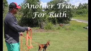 Ruth is on TRACK