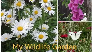 Beautiful Garden Tour 2023