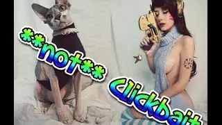 Virgin Killer Sweater // 100% No Cats