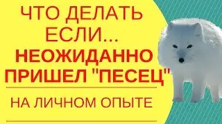 Если случился облом: Как достичь успеха при любых обстоятельствах