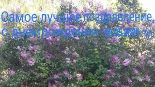 Самое лучшее поздравление с днём рождения -20.05.2024 год. HD MEDIUM FR30 .