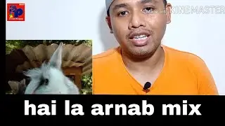 apa itu arnab mix