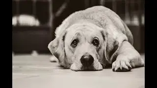 Совсем Грустно(((