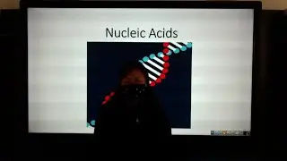 Science ep.1
