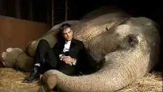 Please Don't Go (Soundtrack Water For Elephants) w/ Lyrics (Español - English)