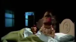 Sesame Street - Ernie & Bert 