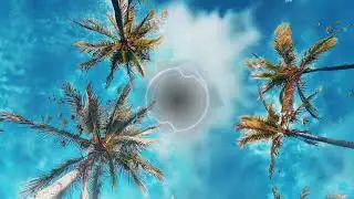 Aiirlan Walker - Summer