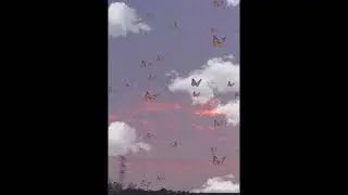 (FREE) Lofi type beat ~ Sundays
