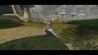 Skywind - Вдвоем на одном Гуаре