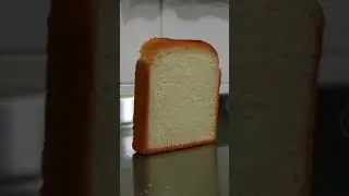 Roti stand up 