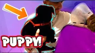 BRINGING OUR PUPPY HOME!