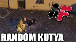 Night Fall RP - PÉNZT KAPTAM A KUTYUSÉRT!😁