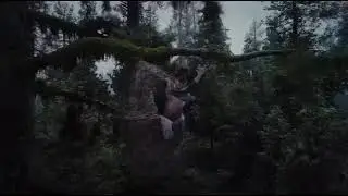SPIDER WEB MV Teaser! OUT 12/04/24