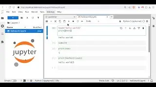 How to Use Jupyter Notebook for Python – Try It Online & Install Locally!
