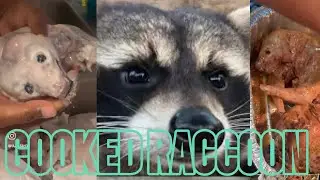 RACCOON CLEAN & COOKED🦝 (THE WHISPER REACTION) #viralvideo