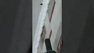 Рыжик, ❤️