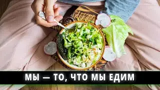 Питание - основа гармоничного развития. Сыроедение. Вегетарианство.