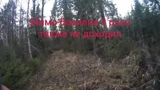 Охота с Эг Фаготом в Кировской области на зайца беляка сезон 2019-20г Шикарная охота 2 часть!!!!