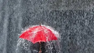 Rain & Thunder beautiful Sounds, Nature. deep sleeping and study. nature enjoyment